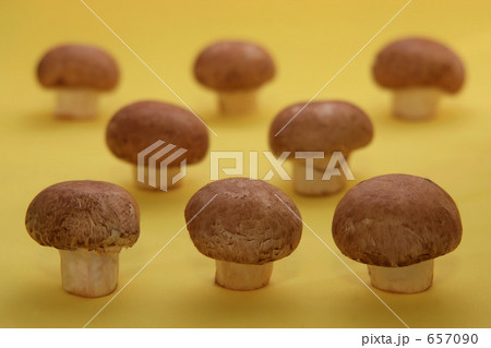 ブラウンマッシュルーム 657090