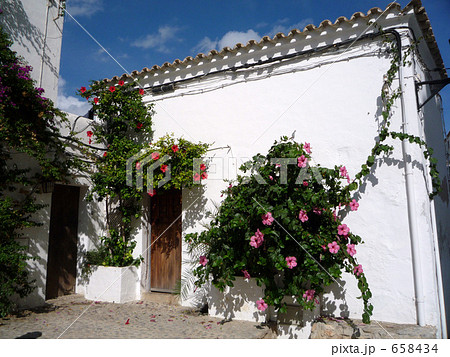 イビサ島の街路 658434