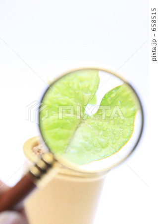 虫メガネと葉っぱ 虫メガネと葉っぱ 658515