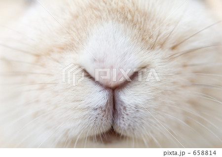 658814