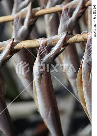 かますの干物 658964