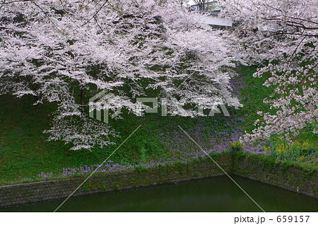 花に酔う（北の丸公園辺り）２ 659157