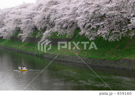 花に酔う（北の丸公園辺り）４ 659160