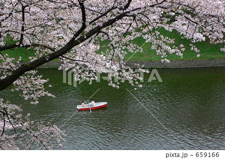 花に酔う（北の丸公園辺り）７ 659166