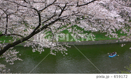 花に酔う（北の丸公園辺り）９ 659172