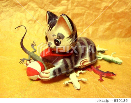 ひき逃げキャット 659186