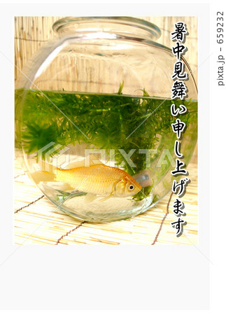 金魚 659232