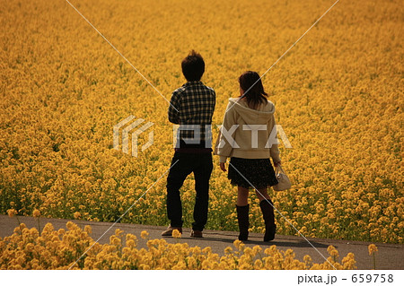 見奈良の菜の花畑とカップル 659758