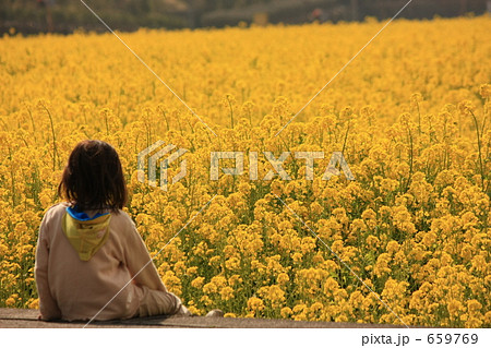 見奈良菜の花畑と花を眺める子供 659769