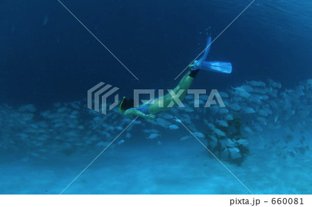 モルジブで魚群と遊ぶ女性ダイバー 660081