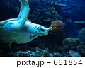 泳ぐ亀（横） 661854