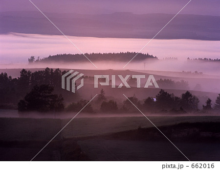 霧の丘 662016