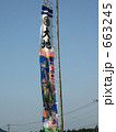 五月幟 663245