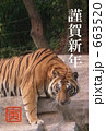 2010年賀状_寅_縦全面写真 663520
