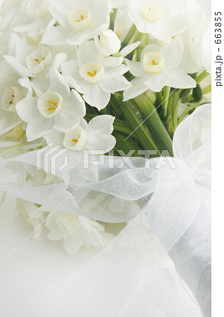 水仙の花束の写真素材