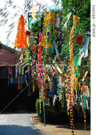 七夕飾り 七夕飾り 663945