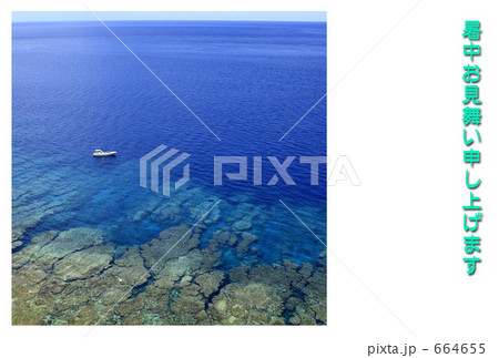 コバルトブルー 664655