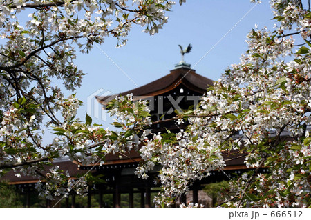 平安神宮 平安神宮 666512