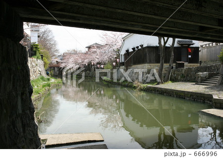 花咲く八幡堀 666996