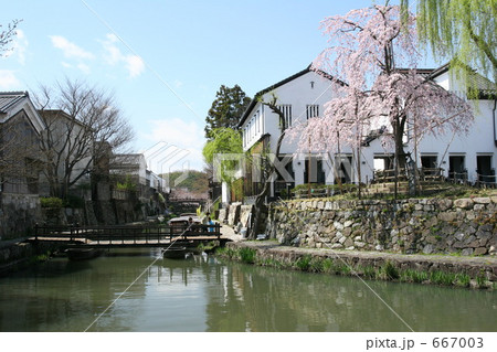 花咲く八幡堀 花咲く八幡堀 667003