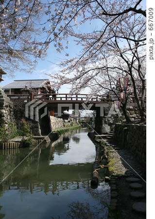 花咲く八幡堀 667009