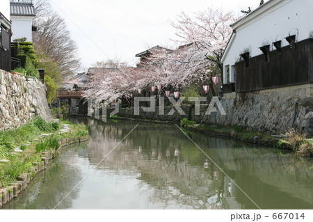 花咲く八幡堀 667014