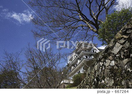 郡上八幡城 667264