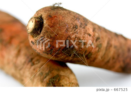 土付きニンジン 667525