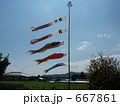 鯉幟 667861