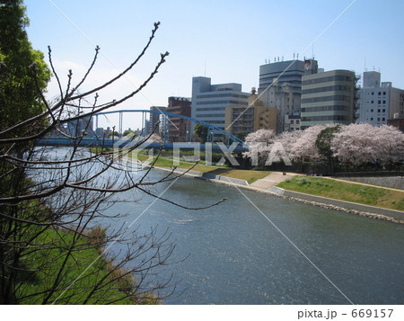 春の白川 春の白川 669157