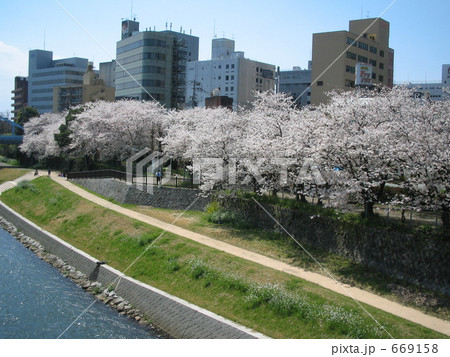 春の白川の河原と熊本市街地 669158