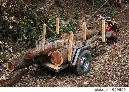 間伐作業の車 669669
