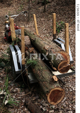 間伐作業の車 669671