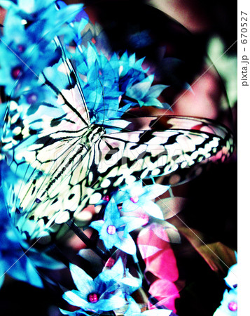 甘い罠 Ⅱ 670527