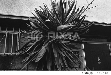 原宿・神宮前4丁目 昭和52年 原宿・神宮前4丁目 昭和52年 670748