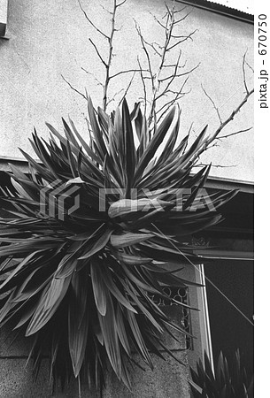 原宿・神宮前4丁目 昭和52年 原宿・神宮前4丁目 昭和52年 670750