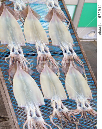 イカの一夜干し 672914