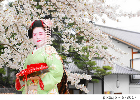舞妓(祇園・花見) 舞妓(祇園・花見) 673017