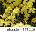 働き蜂の仕事 673119