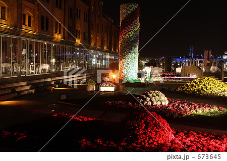 フラワーガーデン2009 フラワーガーデン2009 673645