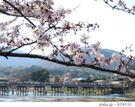桜と渡月橋（京都） 674510