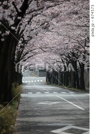桜のトンネル 674573