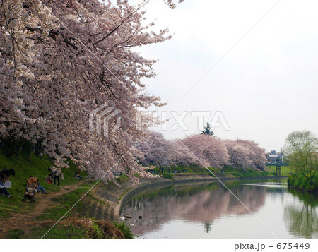 北越谷元荒川堤 675449