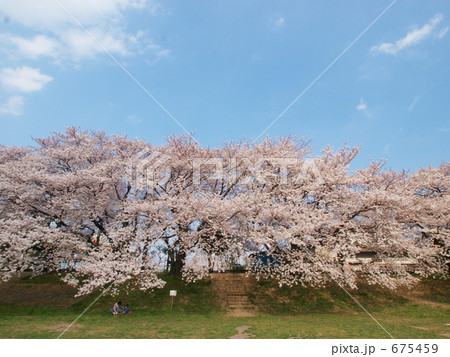 北越谷元荒川堤 675459