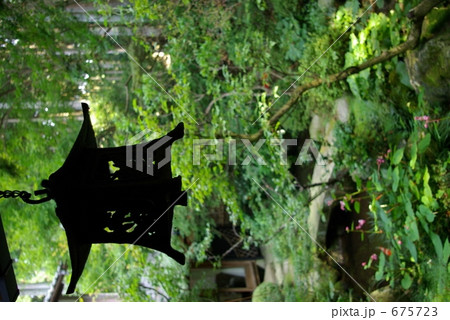 庭園を望む 庭園を望む 675723