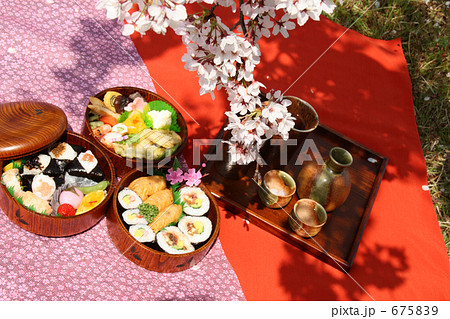 お花見 弁当 丸い三段重箱とソメイヨシノの写真素材 6759