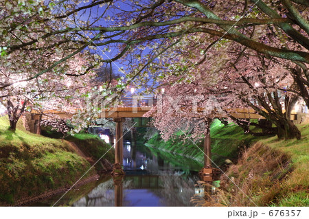 桜橋３ 676357