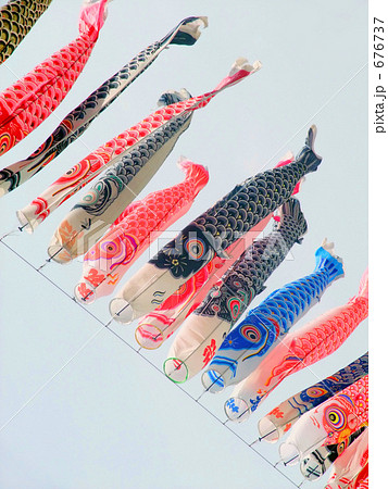こいのぼり 676737
