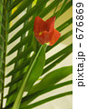 676869
