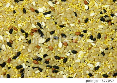 雑穀米 雑穀米 677057